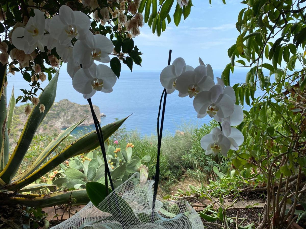 Villa Don Mimi Guarnaschelli La Dependace Taormina Exterior photo